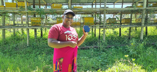 From Hive to Hope: How Your Support Can Change the World