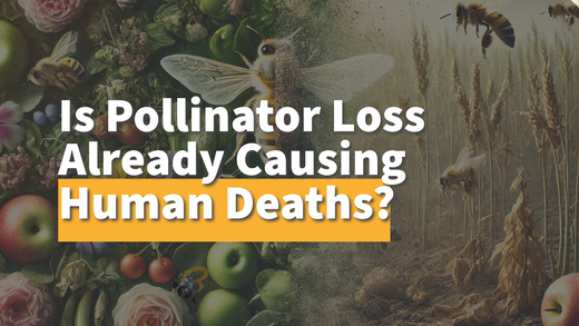 Is Pollinator Loss Already Causing Human Deaths?