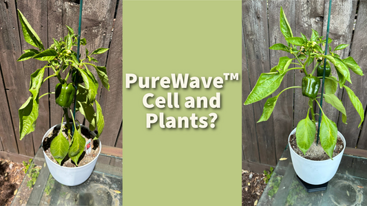 The PureWave™ Cell and Plants?