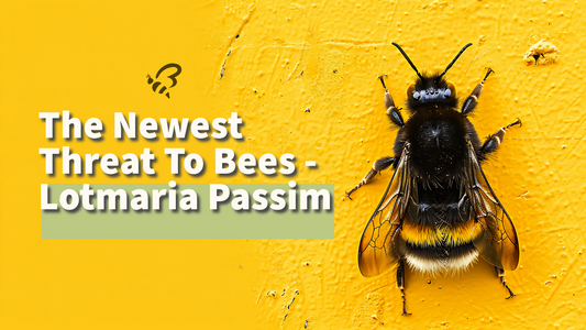 The Newest Threat To Bees - Lotmaria Passim