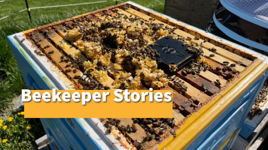 Beekeeper Stories