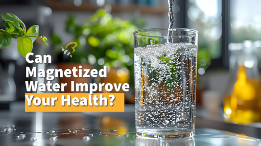 Can Magnetized Water Improve Your Health?