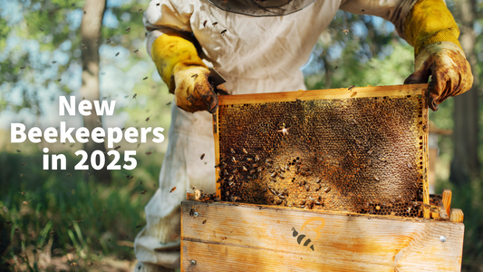 New Beekeepers in 2025