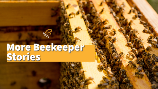 More Beekeeper Stories