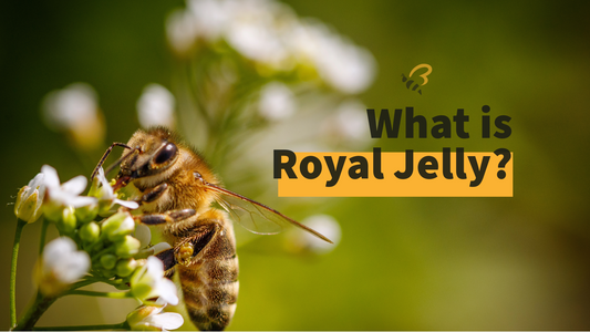 What is Royal Jelly?