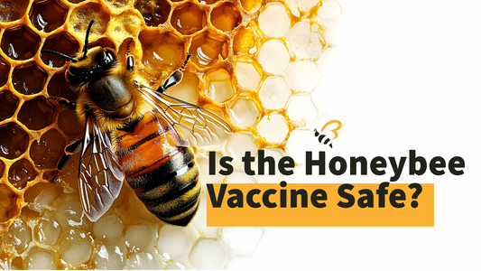 Is the Honeybee Vaccine Safe?