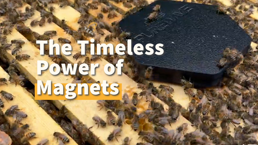 The Timeless Power of Magnets