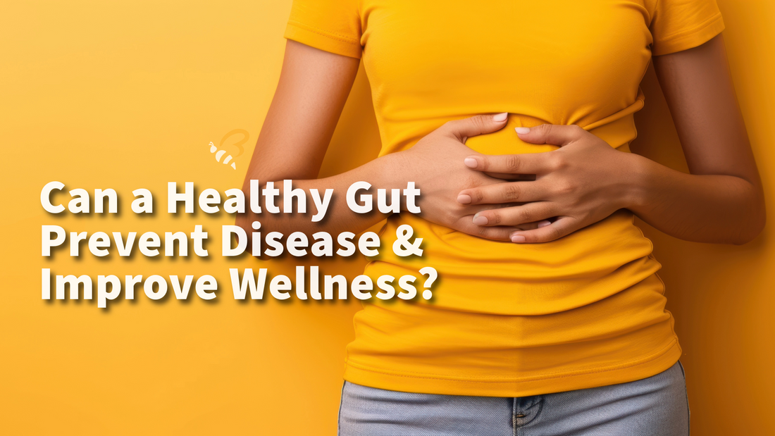 Can a Healthy Gut Prevent Disease and Improve Overall Wellness?