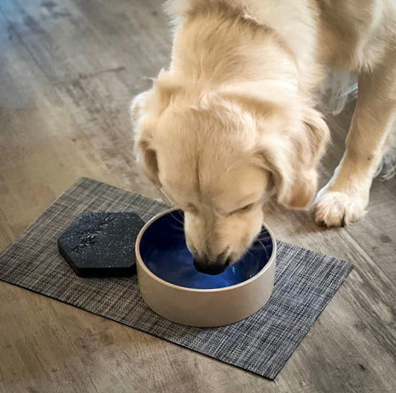 PureWave™ Cell + Honey (Case of 12) - 4RBees