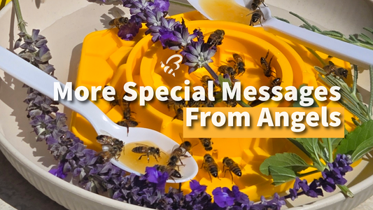 More Special Messages From Angels