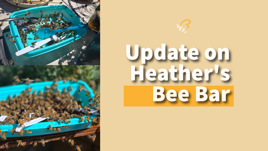 Update on Heather's Bee Bar