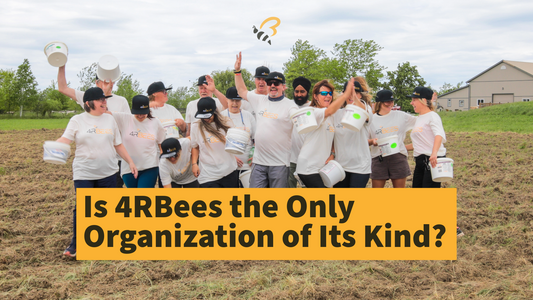 Is 4RBees Really The Only Project of Its Kind?