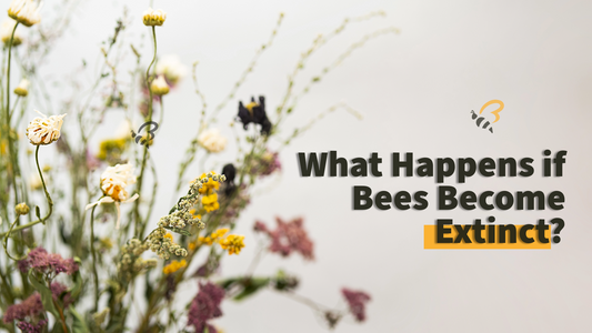 What Happens if Bees Become Extinct?