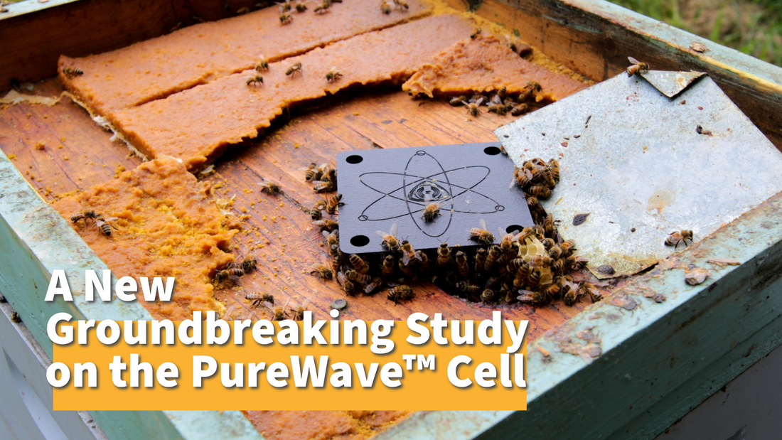 3-Year Research Study on the 4RBees PureWave™ Cell