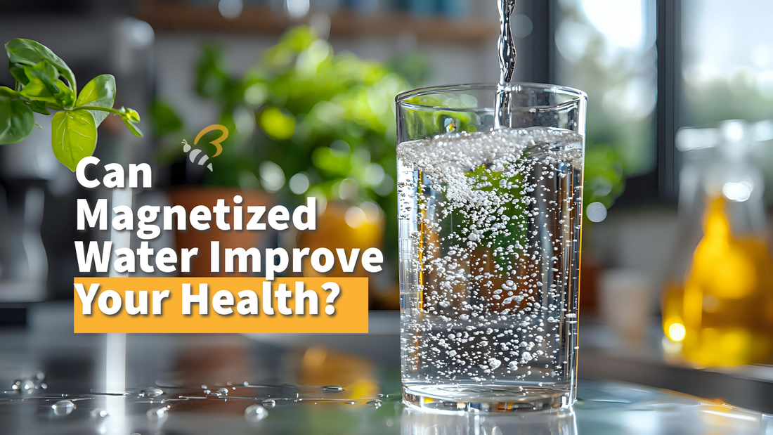 Can Magnetized Water Improve Your Health?