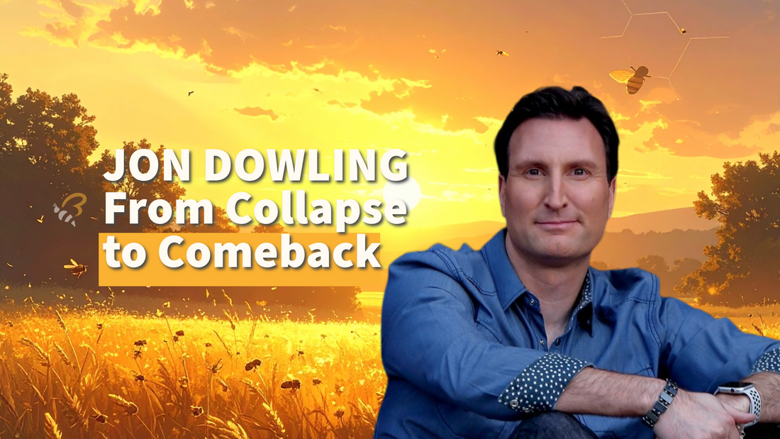 From Collapse to Comeback