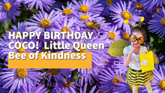 Happy Birthday to Coco, the Little Queen Bee of Kindness