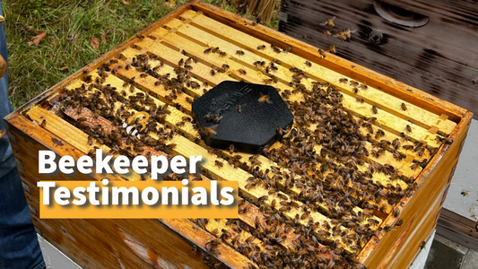 Beekeeper Testimonial