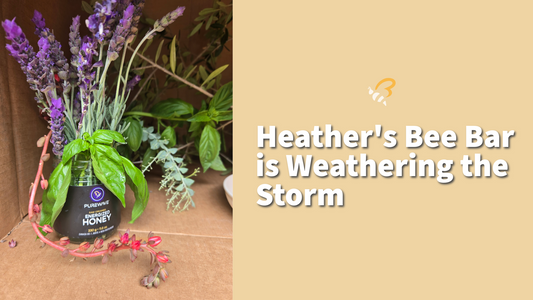 Heather's Bee Bar is Weathering the Storm