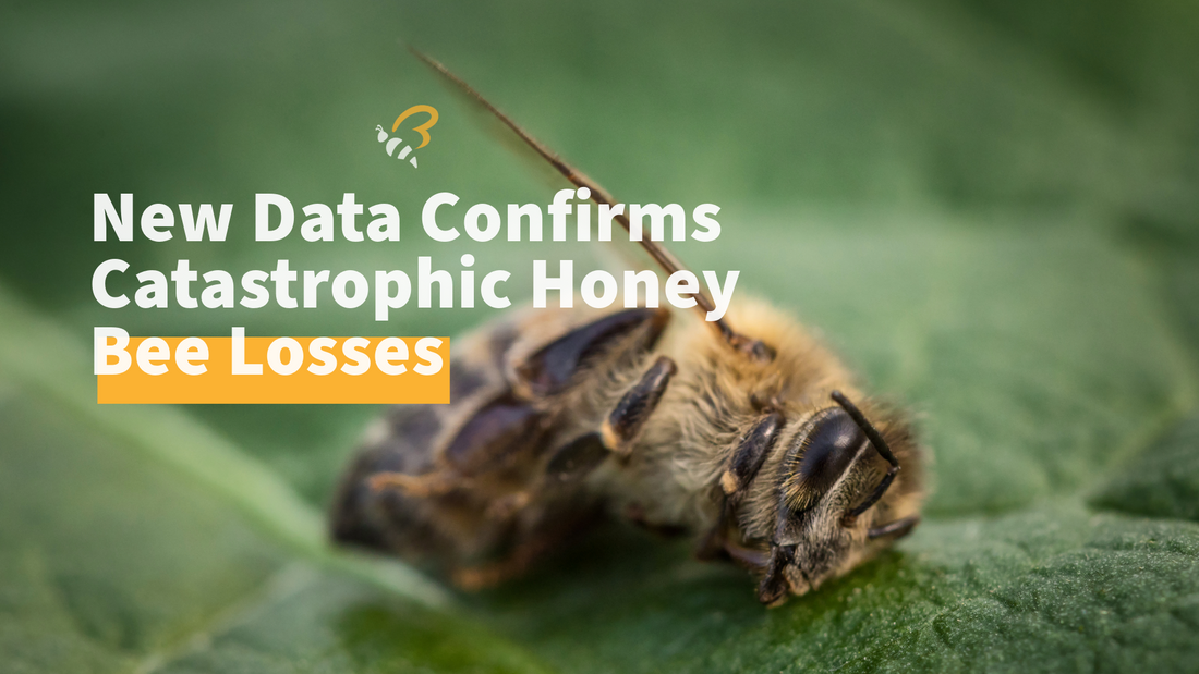 New Data Confirms Catastrophic Honey Bee Losses - Urgent Need for Action!