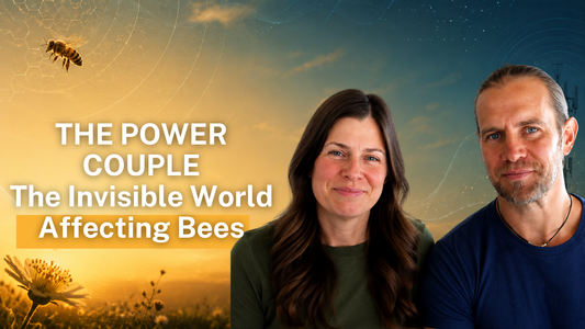 The Invisible World Affecting Bees