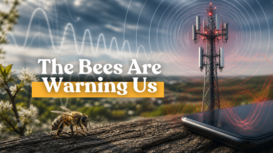 The Bees Are Warning Us