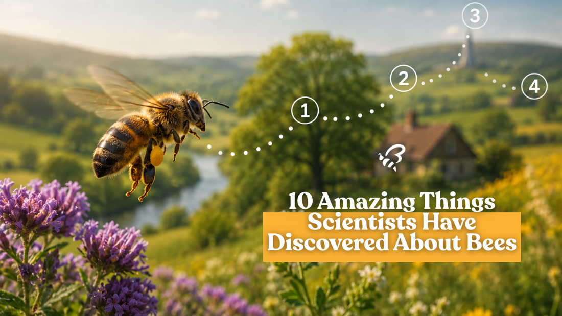 10 Amazing Things Scientists Have Discovered About Bees