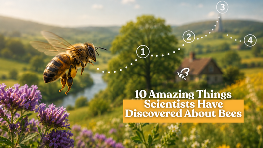 10 Amazing Things Scientists Have Discovered About Bees