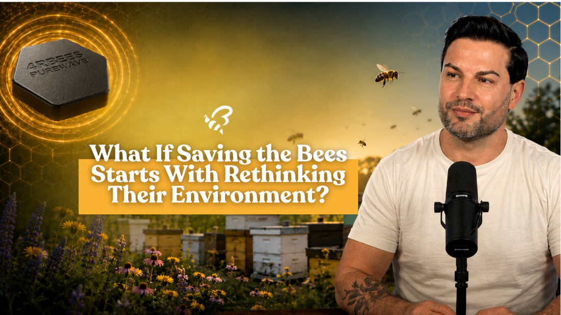 What If Saving the Bees Starts With Rethinking Their Environment?
