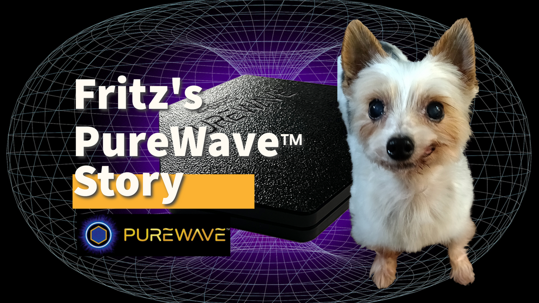 Fritz's PureWave™ Story