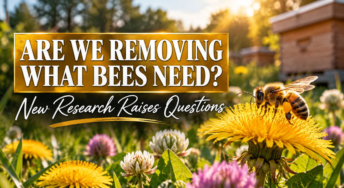 Are We Removing What Bees Need?