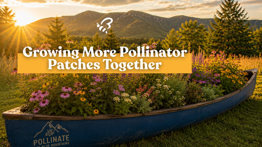 Growing More Pollinator Patches Together