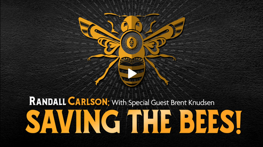 4RBees Appears on Randall Carlson Podcast