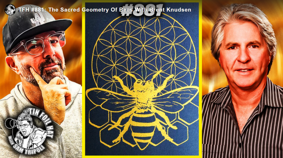 The Sacred Geometry of Bees with Brent Knudsen