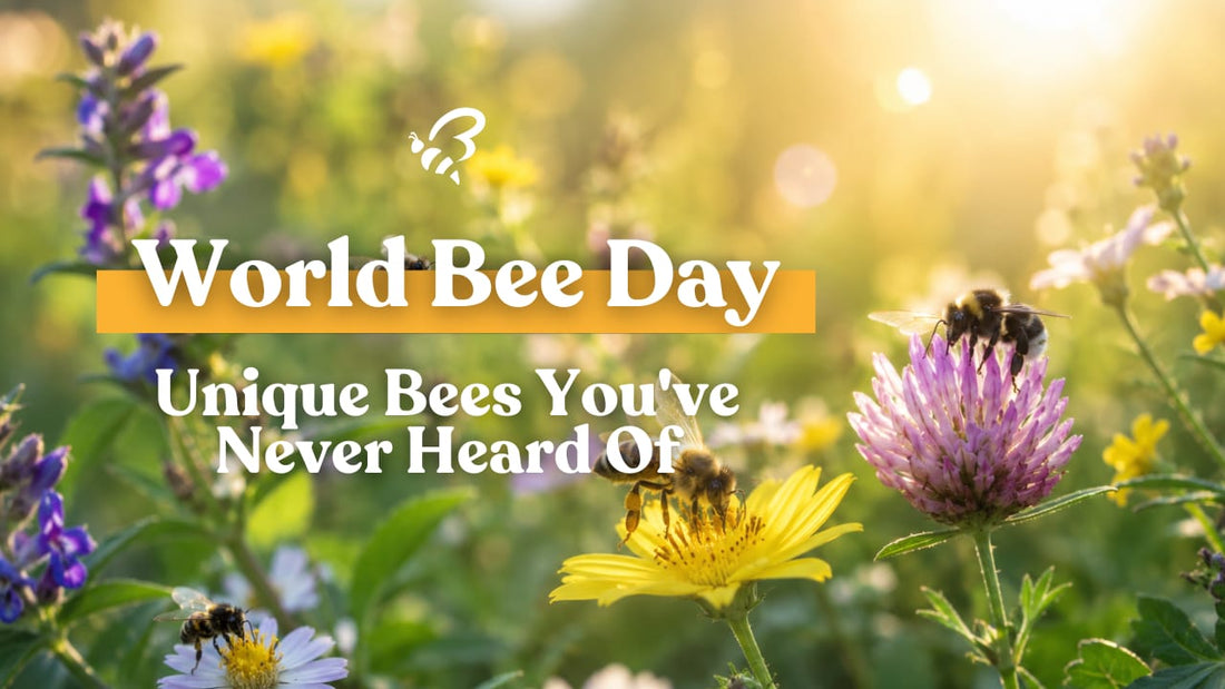 World Bee Day: Unique Bees You've Never Heard Of