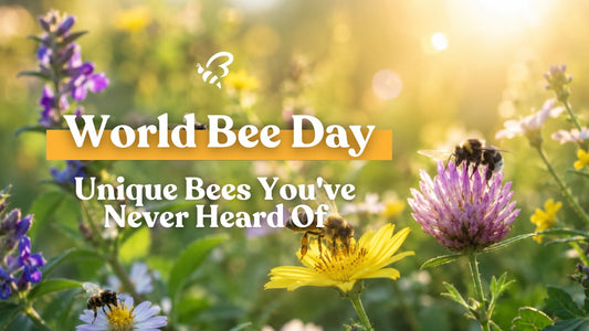 World Bee Day: Unique Bees You've Never Heard Of