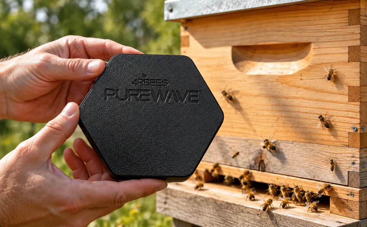 A PureWave® Cell facing the viewer beside a working hive