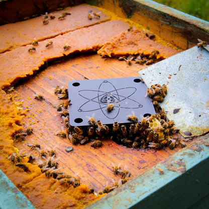 1000 Bees A Month Club - 4RBees